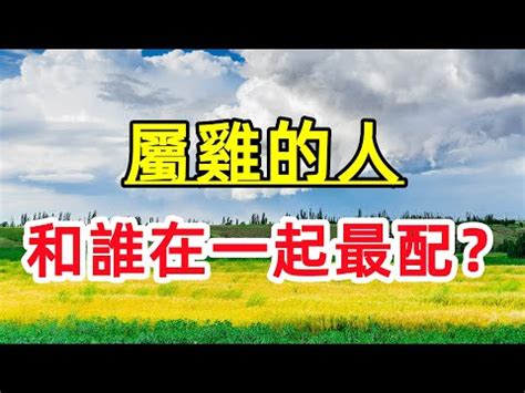 虎和雞合嗎|屬虎的人和屬雞的人配嗎